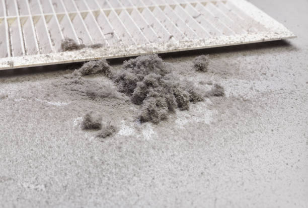 Best Duct Cleaning for Homes  in Gordo, AL