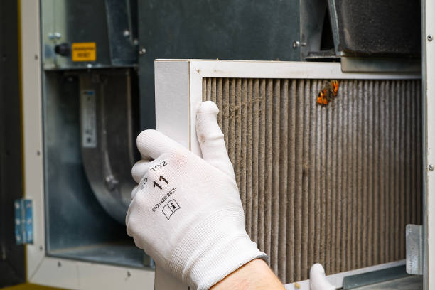 Best Affordable Duct Cleaning Services  in Gordo, AL